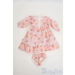 画像: SDM＆MSD/OF:ワンピース Y-26-01-28-169-TO-ZY