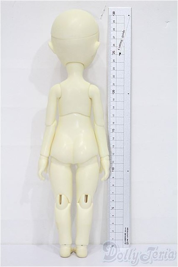 画像6: iMda Doll/Gian - for the Memory in Osaka S-25-12-28-105-TO-ZS (6)