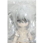 画像: 一万回の脱出計画BJD/オオカミ 狼 QUIET WILDERNESS Y-26-01-14-256-TO-ZY