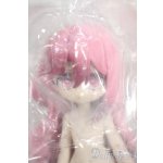 画像: 一万回の脱出計画BJD/キツネ 狐 AWAKENING FROM DRUNKENNESS Y-26-01-14-257-TO-ZY