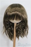 画像1: 9-10inch/ウィッグ S-26-01-11-196-YB-ZS (1)
