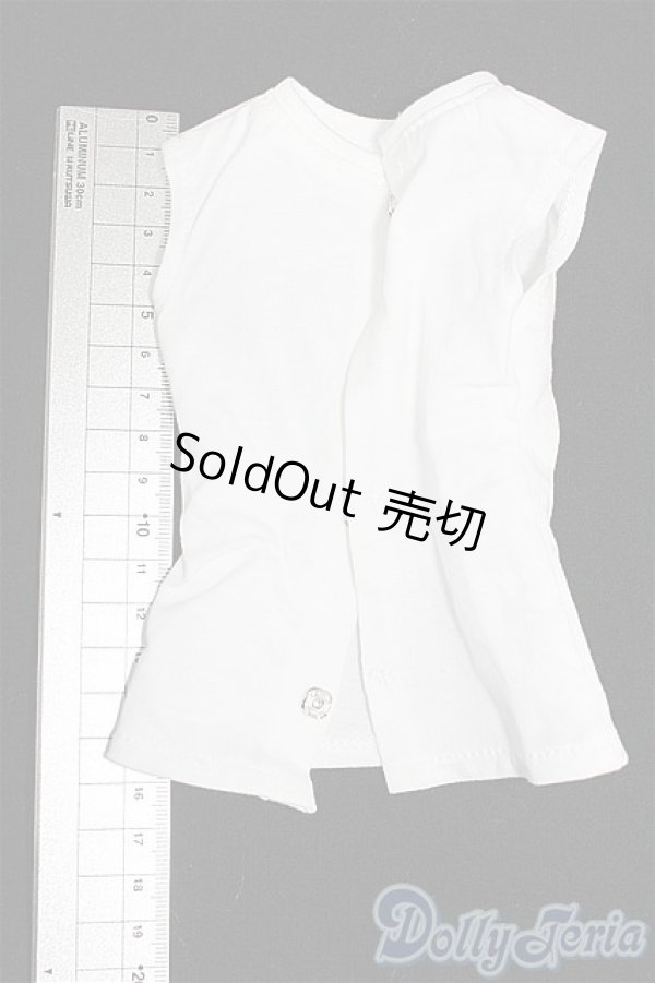 画像2: SD/OF:トップス S-26-02-01-318-TO-ZS (2)