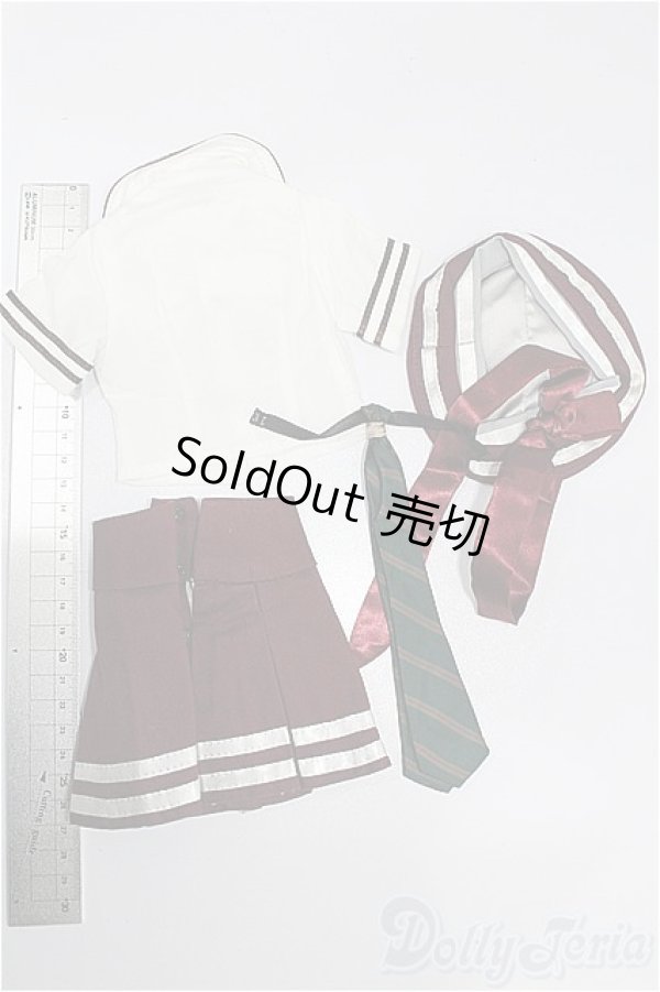 画像2: DD/OF:衣装セット S-26-02-08-261-TO-ZS (2)