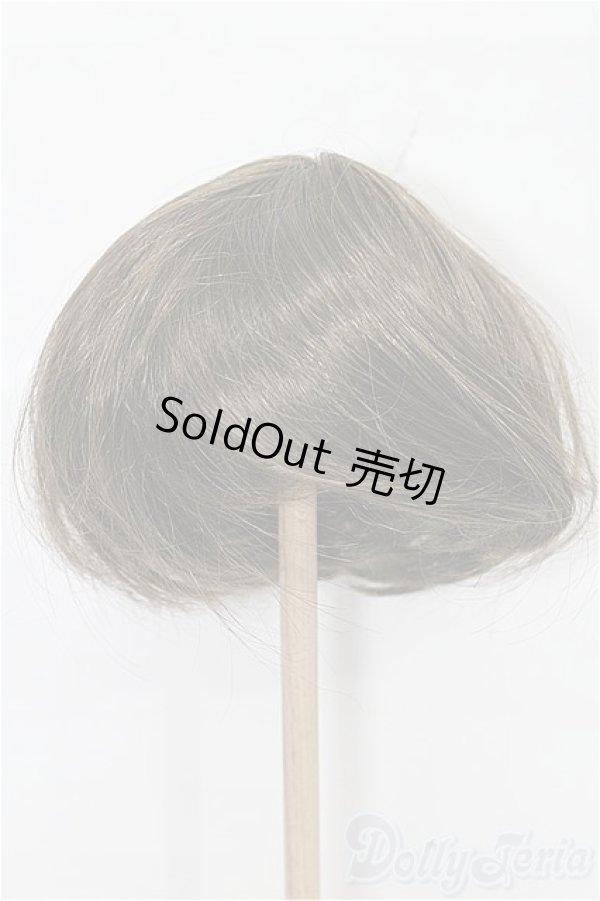 画像1: ネオブライス/ウィッグ S-26-01-11-286-TO-ZS (1)