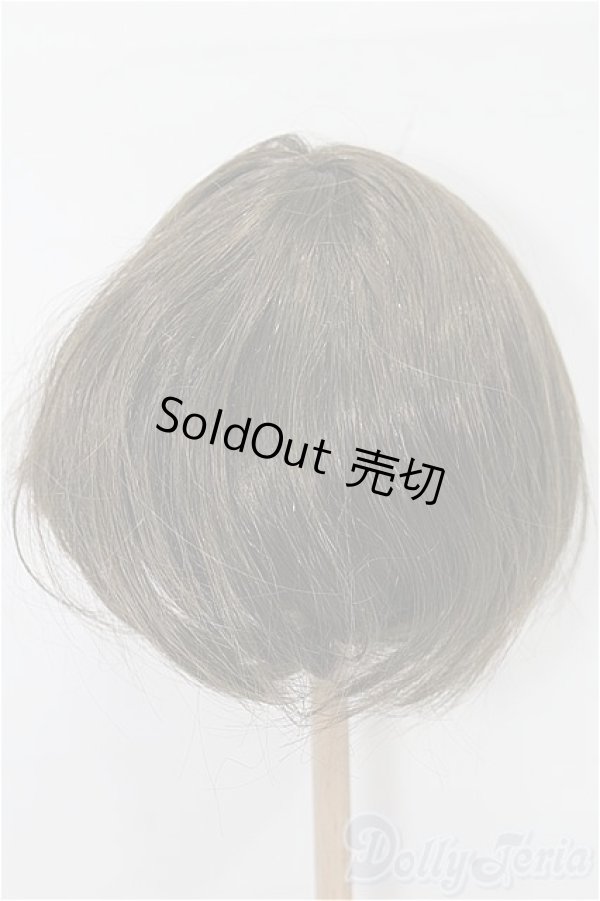 画像2: ネオブライス/ウィッグ S-26-01-11-286-TO-ZS (2)