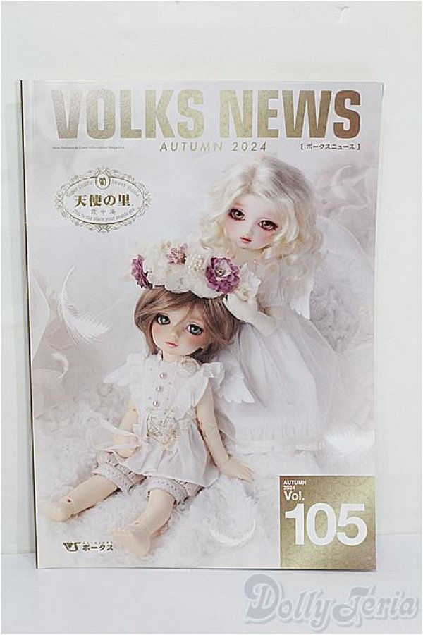 画像1: 書籍/VOLKSNEWS S-26-01-18-198-TO-ZS (1)