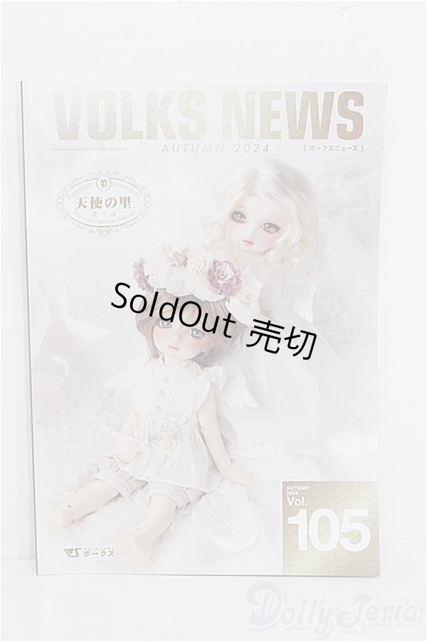 画像1: 書籍/VOLKSNEWS S-26-01-18-198-TO-ZS (1)