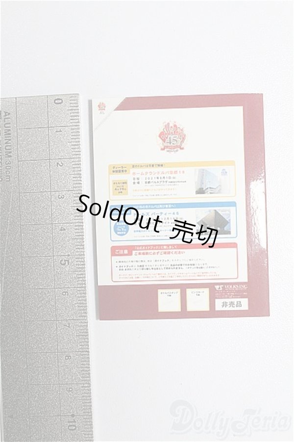 画像2: SD/豆本 VOLKS NEWS S-26-02-01-261-TO-ZS (2)