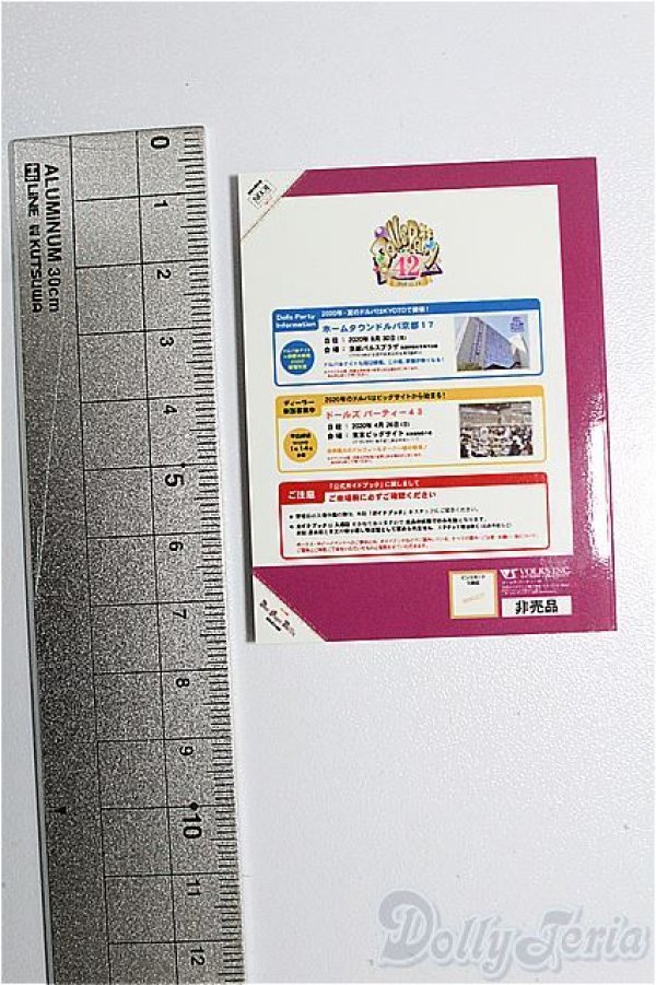 画像2: SD/豆本 VOLKS NEWS S-26-02-01-262-TO-ZS (2)