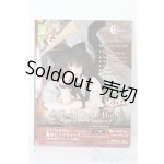 画像: SD/豆本 VOLKS NEWS S-26-02-01-343-TO-ZS