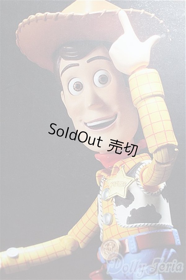 画像1: 海洋堂/特撮リボルテック ウッディー(WOODY) S-26-01-18-114-TO-ZS (1)