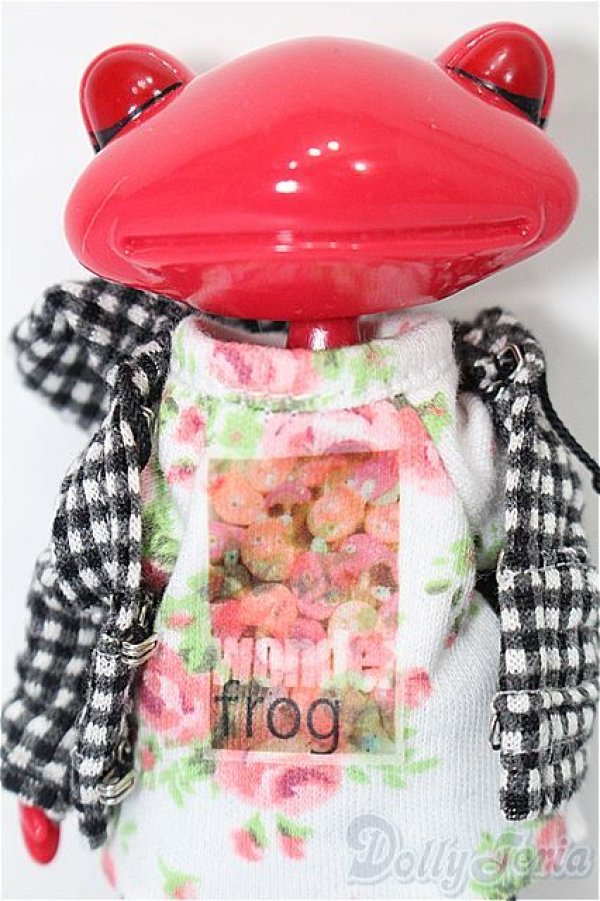 画像1: ワンダーフロッグ/フロリー・フレイア S-26-01-18-249-TO-ZS (1)