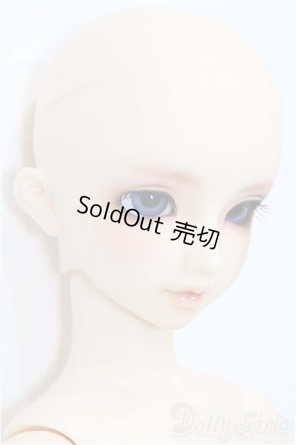 画像3: SD/サキ　スタンダードモデル S-26-01-18-117-TO-ZS (3)