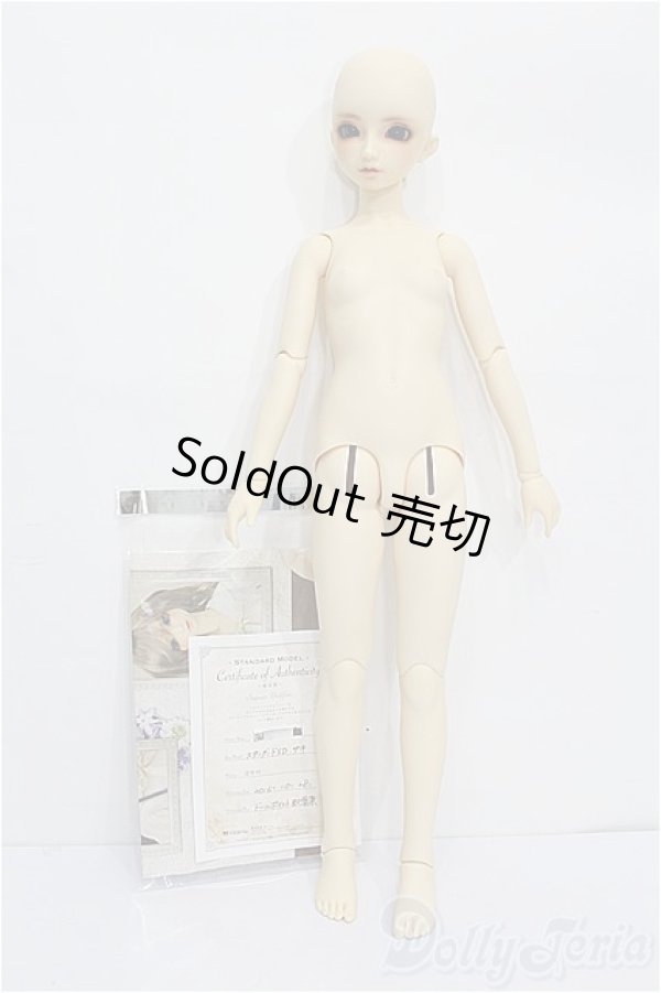 画像7: SD/サキ　スタンダードモデル S-26-01-18-117-TO-ZS (7)