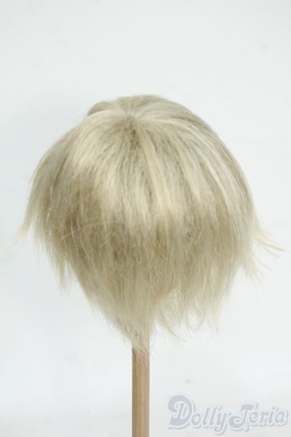 画像2: 9-10inch/ウィッグ Y-26-01-21-229-TO-ZY (2)