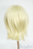 画像2: 9-10inch/ウィッグ Y-26-01-21-228-TO-ZY (2)