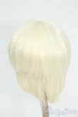 画像2: 8-9inch/ウィッグ Y-26-01-21-222-TO-ZY (2)