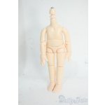 画像: オビツ11/ボディ Y-26-01-21-259-TO-ZY