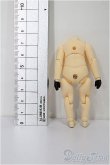 画像2: ねんどろいどどーるボディ S-26-01-18-220-TO-ZS (2)