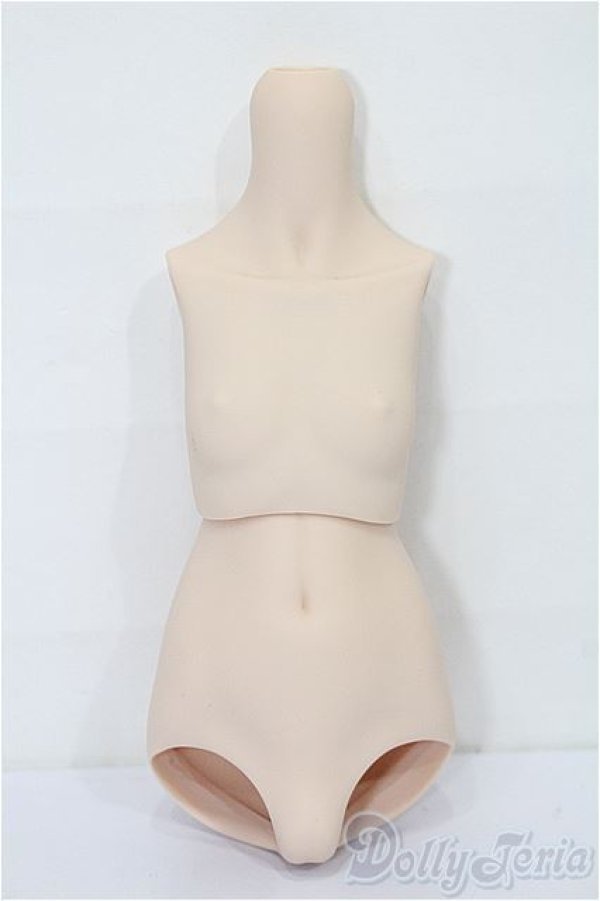 画像1: MDD/ベースボディIII S-26-01-18-246-TO-ZS (1)