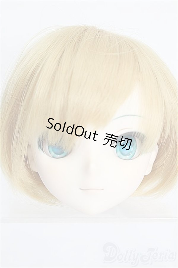 画像1: DD/初音ミク ヘッド S-26-01-25-112-TO-ZS (1)