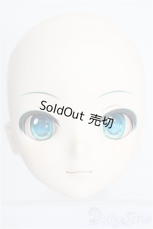 画像2: DD/初音ミク ヘッド S-26-01-25-112-TO-ZS (2)