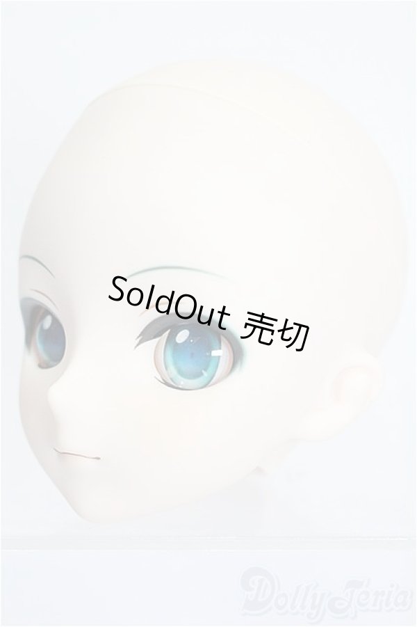 画像4: DD/初音ミク ヘッド S-26-01-25-112-TO-ZS (4)