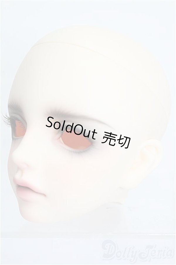 画像3: SWITCH/SHIHOヘッド S-26-09-13-511-TO-ZS (3)