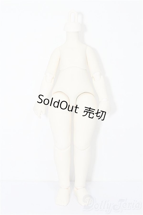 画像1: TinyFox/1/6ボディ S-26-01-25-208-TO-ZS (1)