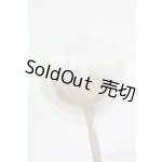 画像: 8〜9inch/ウィッグ：Ronshuka Couture様製 Y-26-01-21-216-TO-ZY