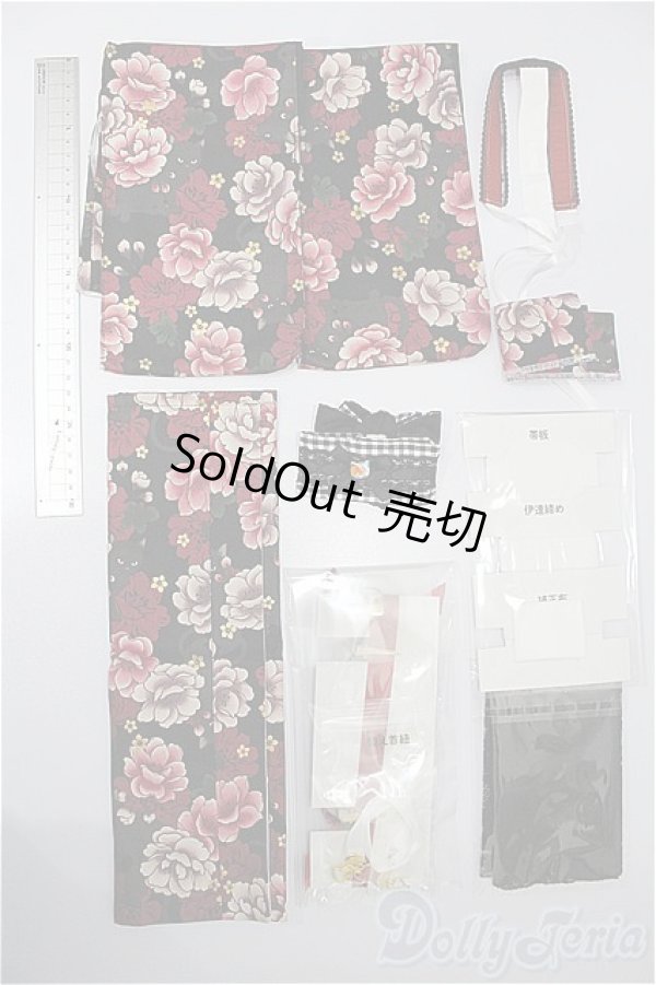 画像2: MDD/OF:衣装セット S-26-01-25-181-TO-ZS (2)