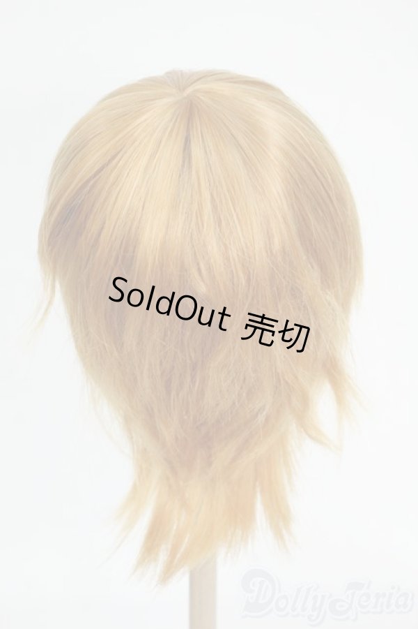 画像2: 9-10inch/ウィッグ Y-26-01-21-217-TO-ZY (2)