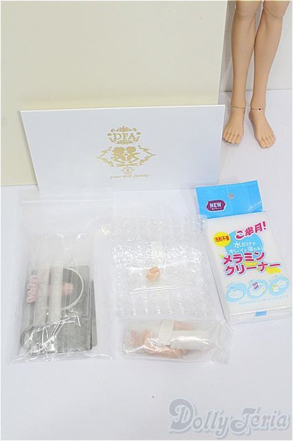 画像7: DFA DOLL/剣(建？)月 S-26-02-01-102-TO-ZS (7)