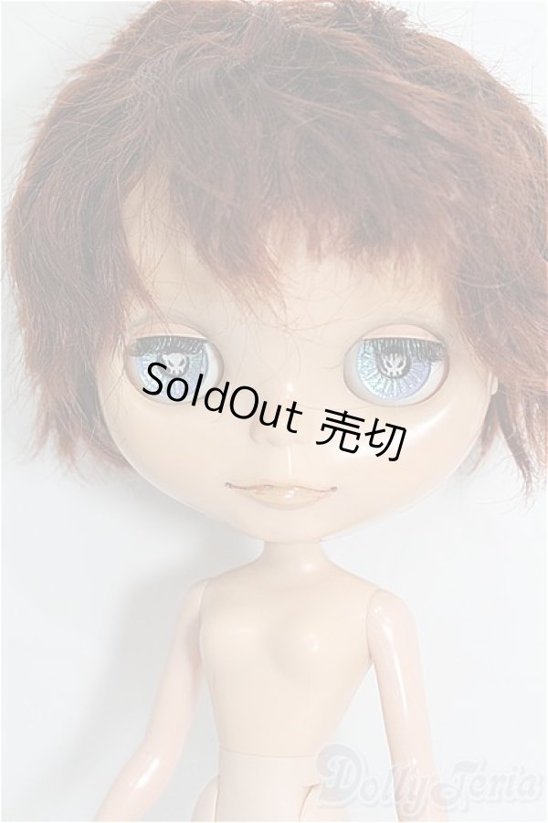 画像1: カスタムブライス/本体 S-26-02-01-253-TO-ZS (1)