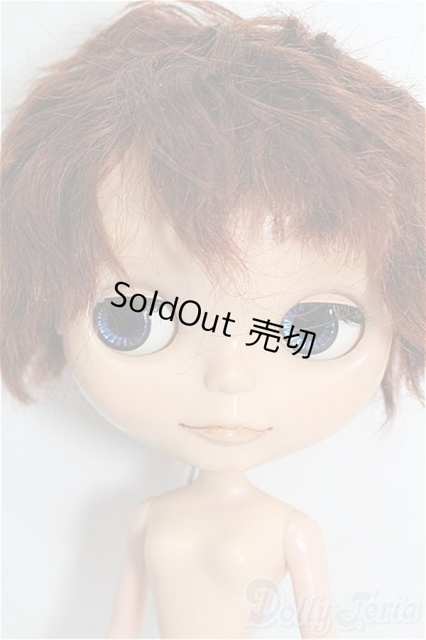 画像2: カスタムブライス/本体 S-26-02-01-253-TO-ZS (2)