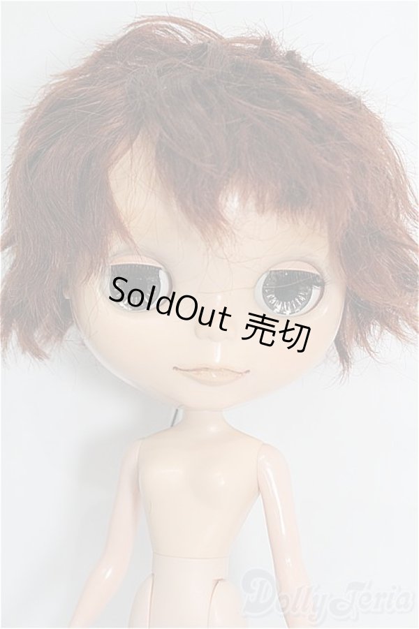 画像3: カスタムブライス/本体 S-26-02-01-253-TO-ZS (3)