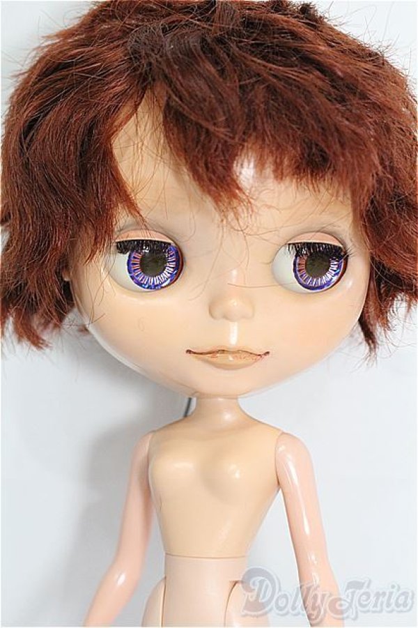 画像4: カスタムブライス/本体 S-26-02-01-253-TO-ZS (4)