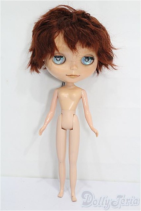 画像5: カスタムブライス/本体 S-26-02-01-253-TO-ZS (5)