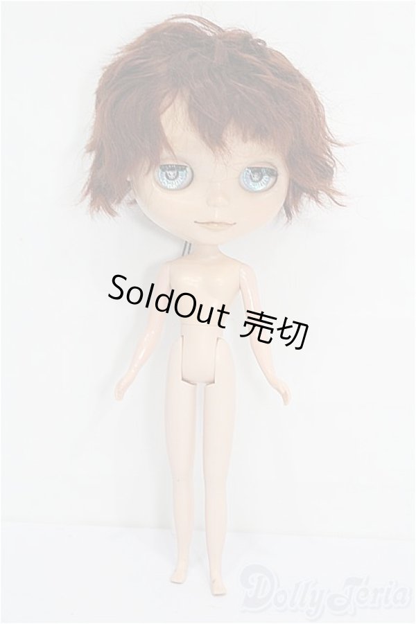 画像5: カスタムブライス/本体 S-26-02-01-253-TO-ZS (5)