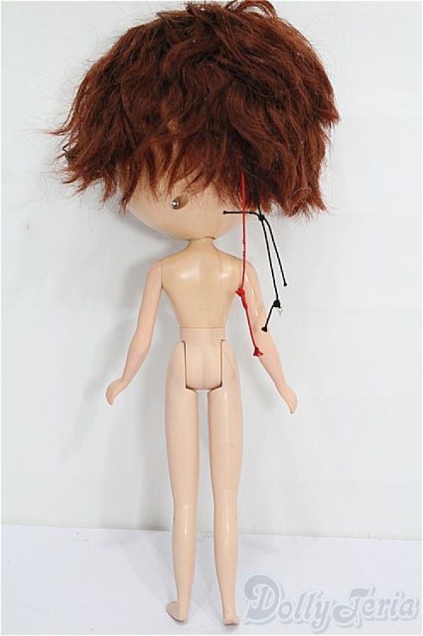 画像6: カスタムブライス/本体 S-26-02-01-253-TO-ZS (6)