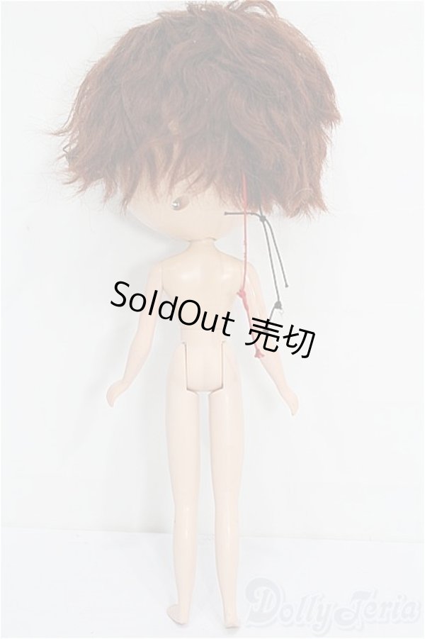 画像6: カスタムブライス/本体 S-26-02-01-253-TO-ZS (6)