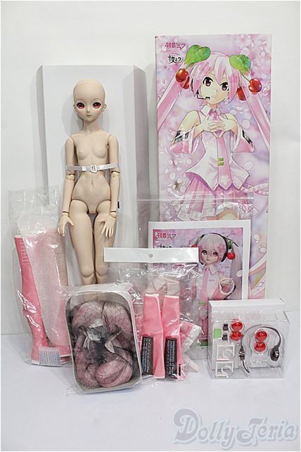 画像4: DD/桜ミク S-26-02-08-104-TO-ZS (4)