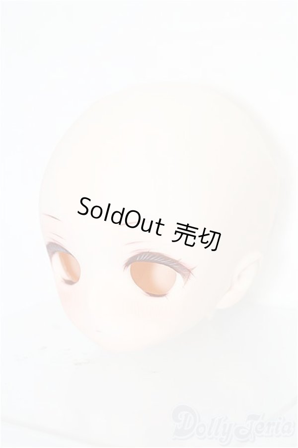 画像3: DD/DDH-01:カスタムヘッド S-26-02-08-213-TO-ZS (3)