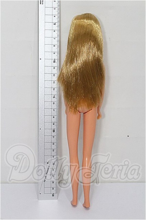 画像3: ジェニー/本体 S-26-03-01-179-TO-ZS (3)