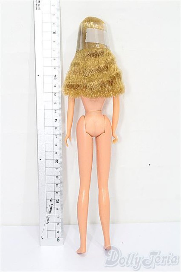 画像3: ジェニー/本体 S-26-02-08-228-TO-ZS (3)