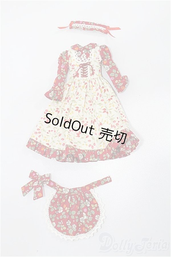 画像1: 27cmサイズドール/OF:衣装 S-26-02-15-168-TO-ZS (1)