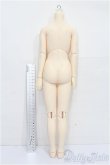 画像2: SD/女の子ボディ S-26-02-08-208-TO-ZS (2)