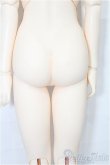 画像3: SD/女の子ボディ S-26-02-08-208-TO-ZS (3)