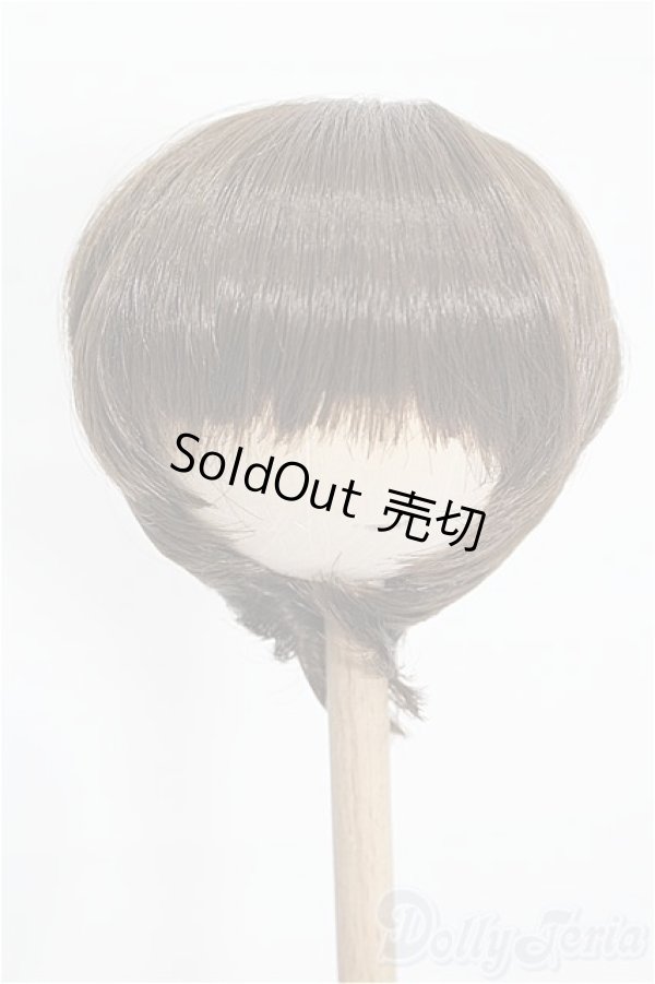 画像1: 8-9inch/ウィッグ S-26-02-08-288-TO-ZS (1)