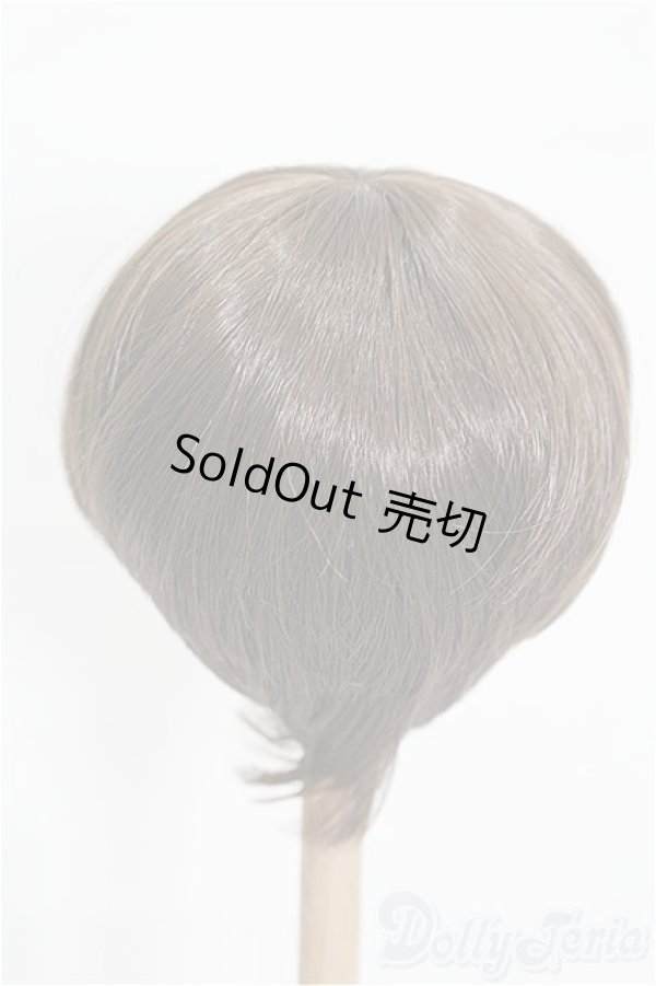 画像2: 8-9inch/ウィッグ S-26-02-08-288-TO-ZS (2)